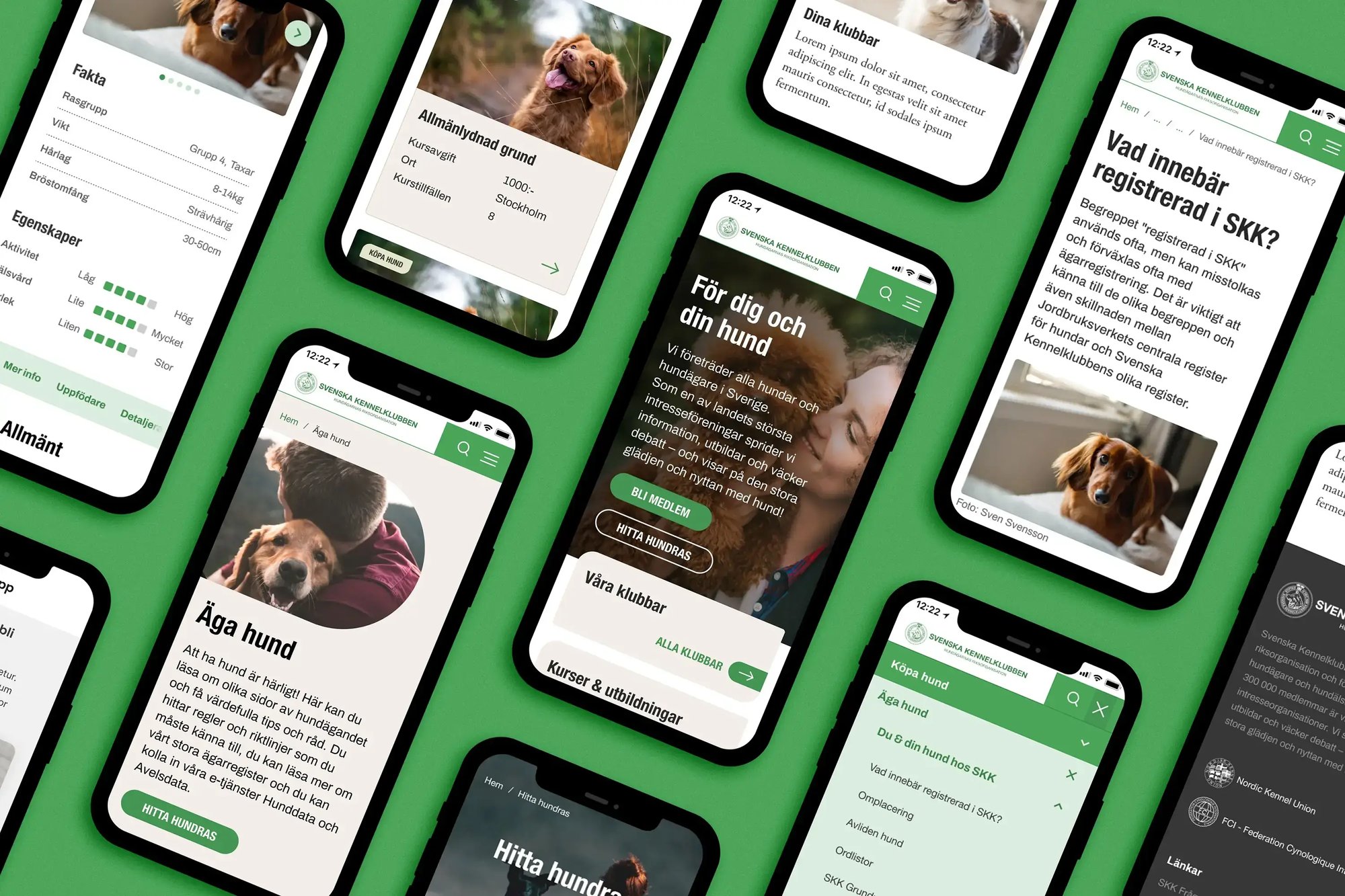 Flera mobiltelefoner med Svenska Kennelklubbens nya webbplats på skärmarna.
