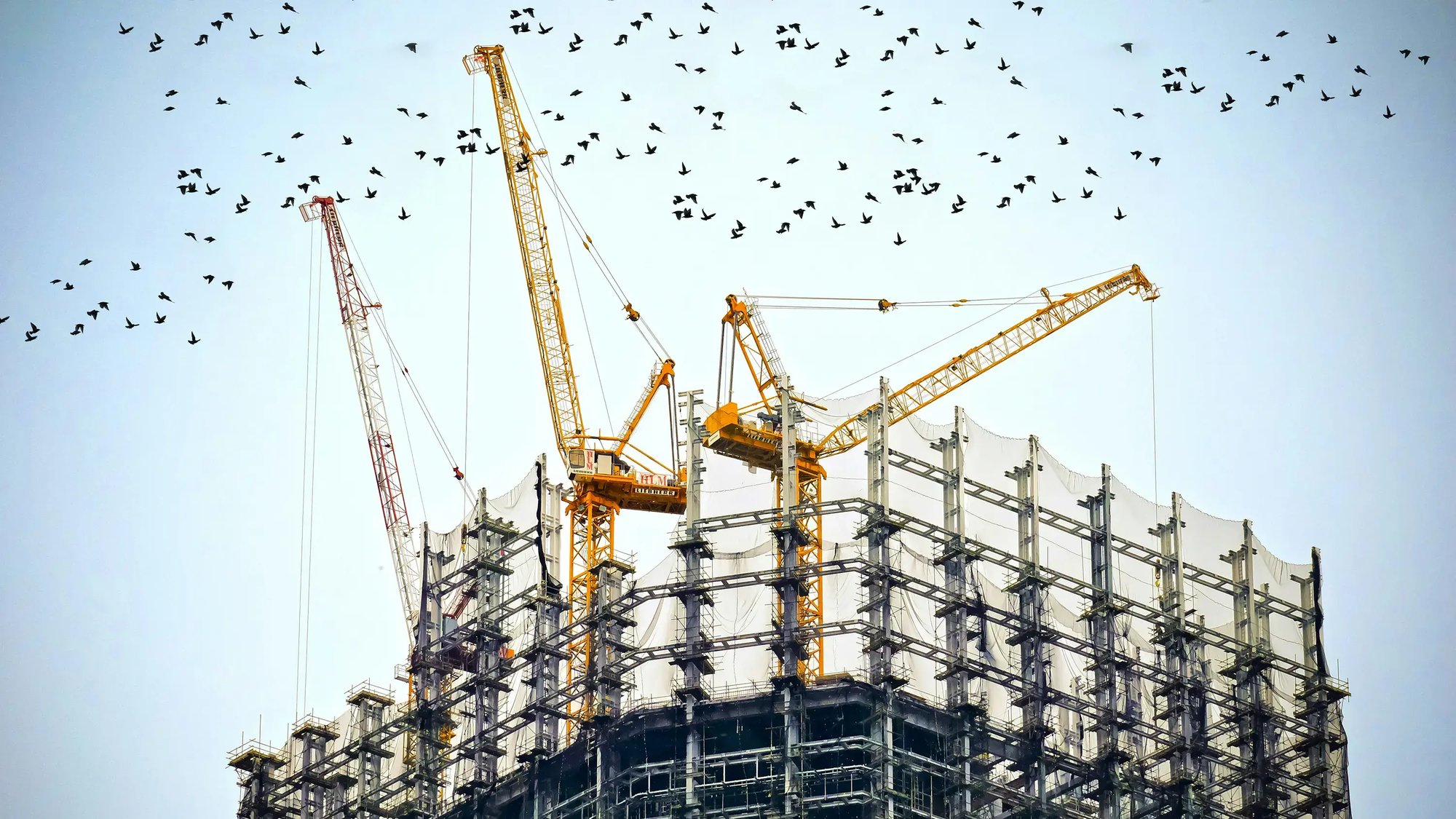 Construction cranes against a blue sky, with birds flying in the air.
