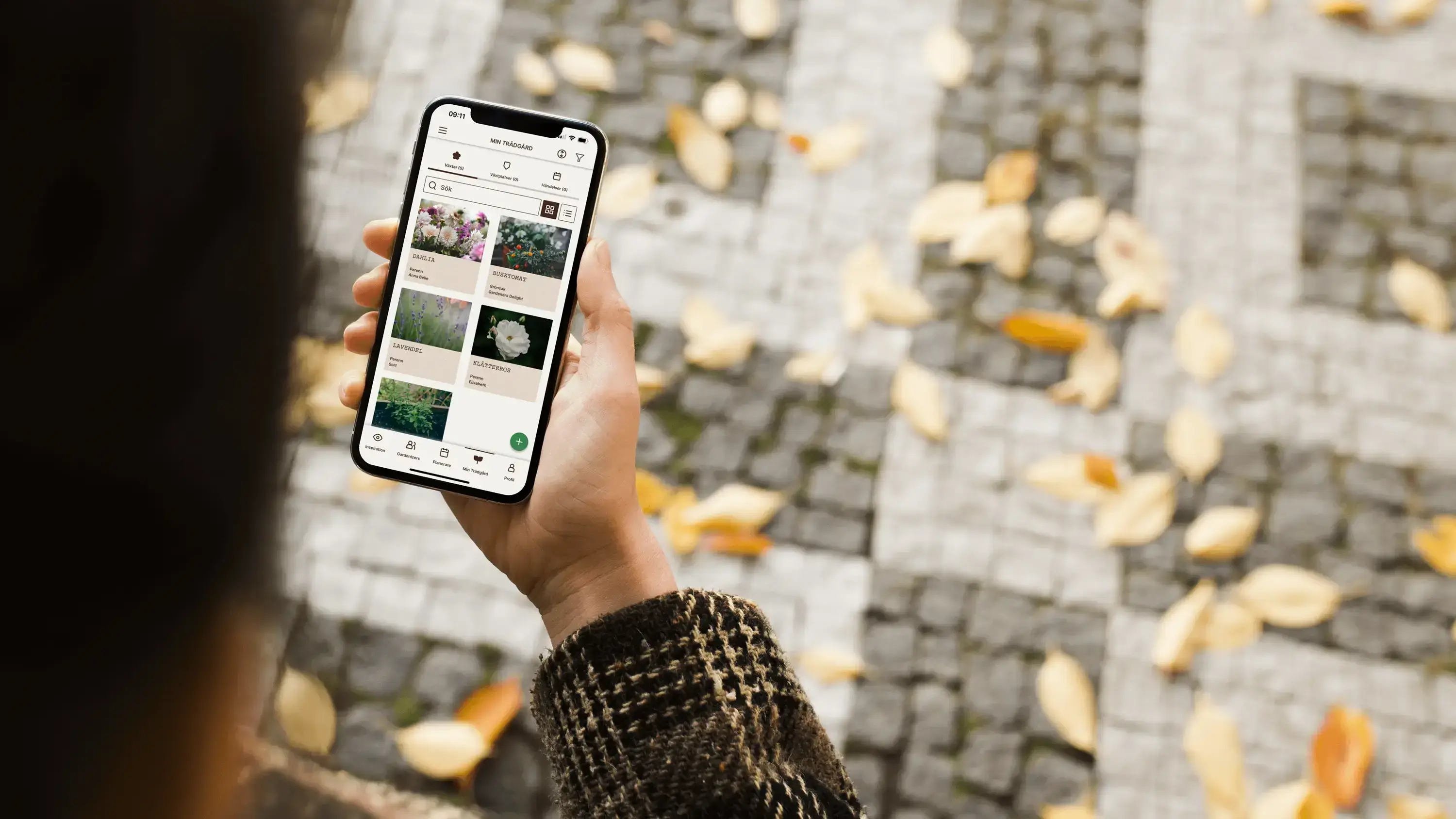 En person sett uppifrån som håller en smartphone med Gardenize appen. I bakgrunden syns en kullerstensgata.