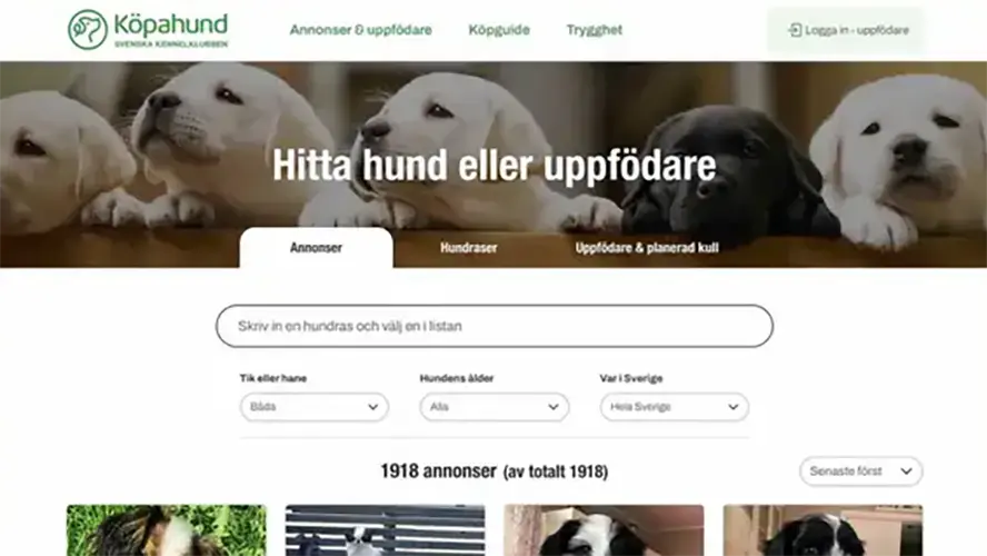 Startsidan på nya Köpahund.se