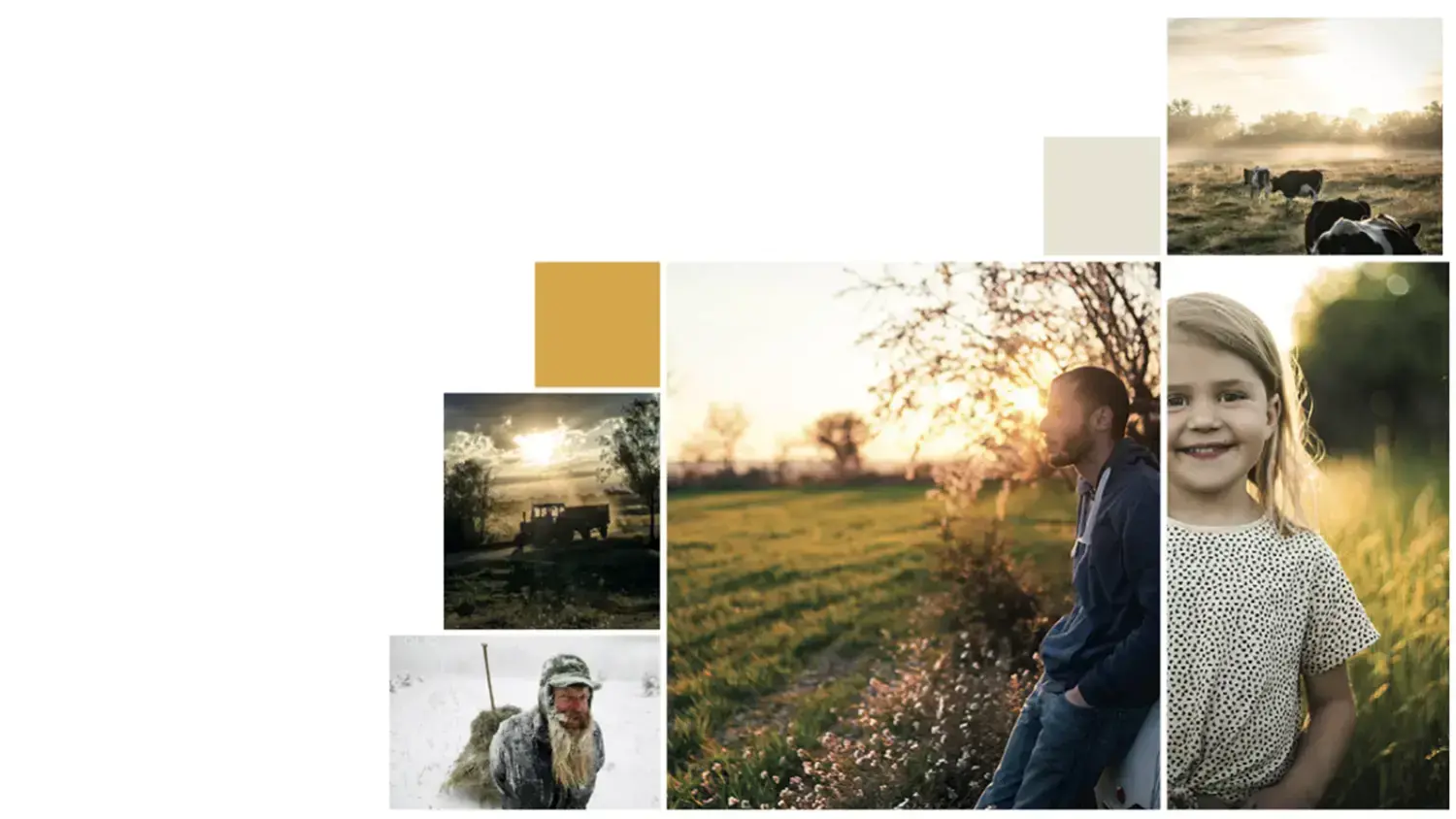 Bondens el with farming and people