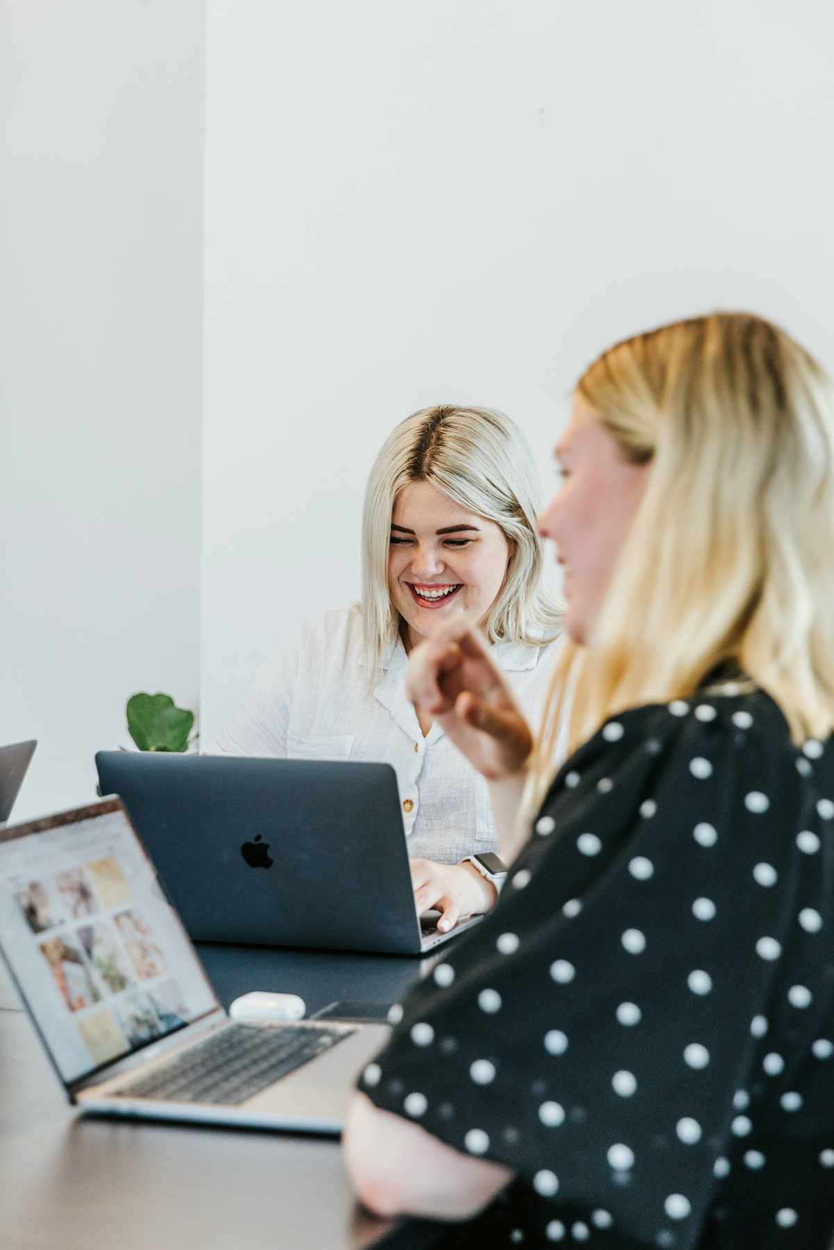 Two people collaborating at laptops during a meeting.